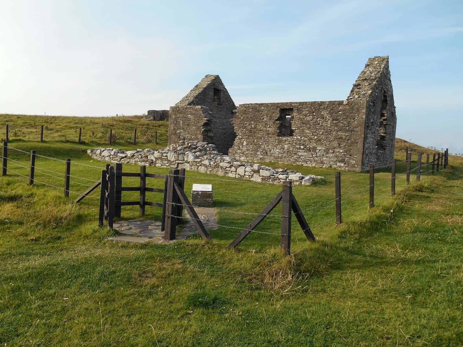 Robert the Bruce facts