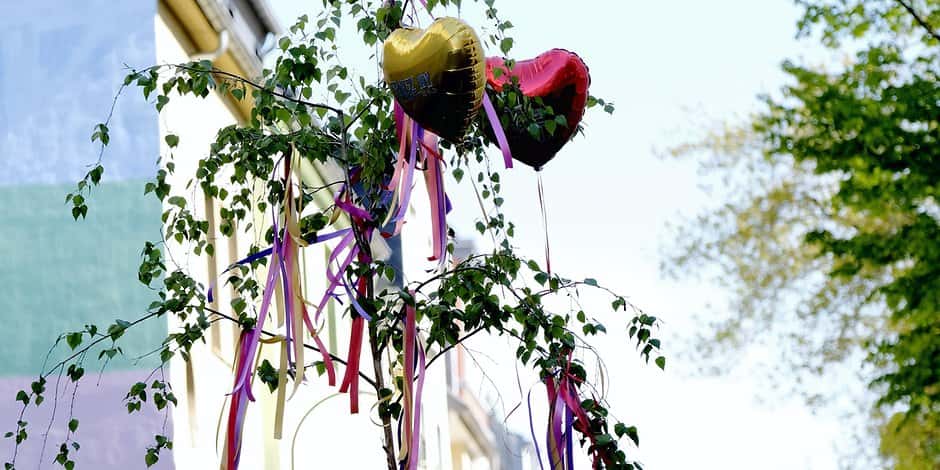 Bizarre Courtship Rituals Facts