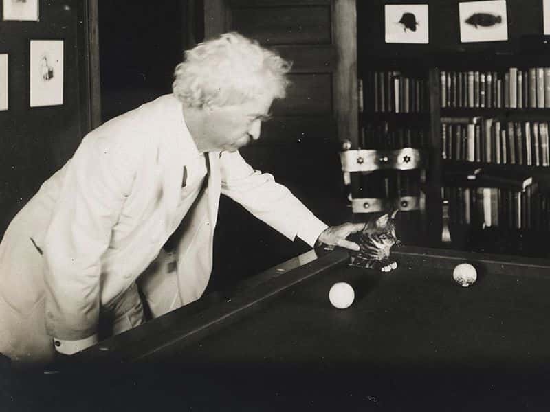 Mark Twain facts