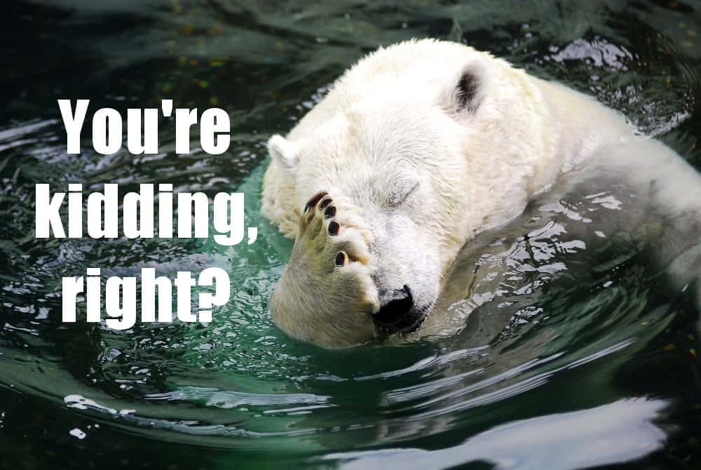 Bridget Jones's Diary facts