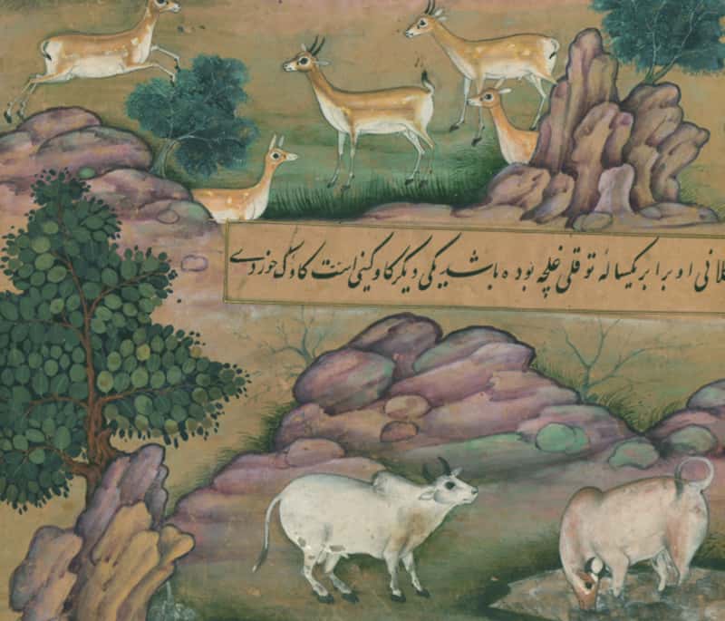 India's Mughal Empire facts