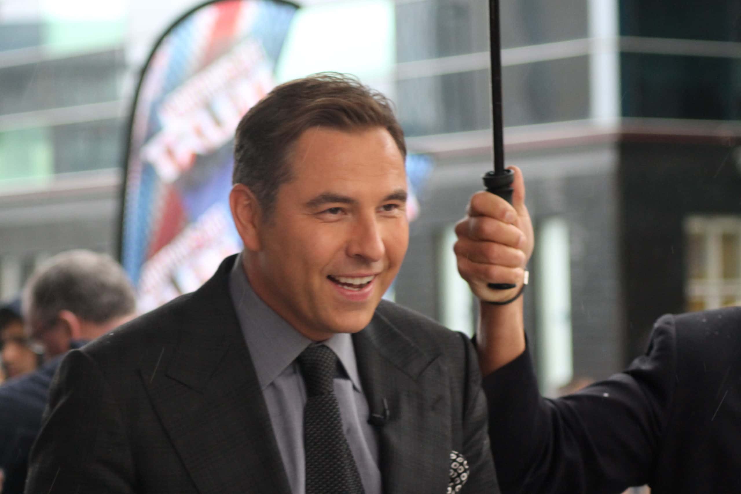 Portrait Photo of David Walliams in gray suit