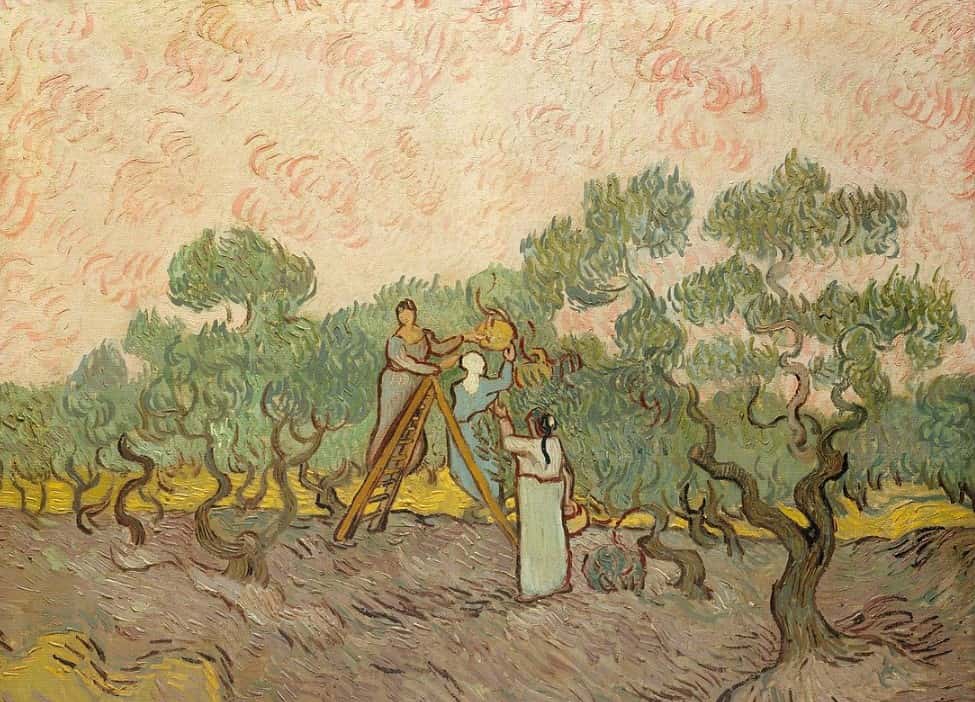 Medieval Beliefs facts 