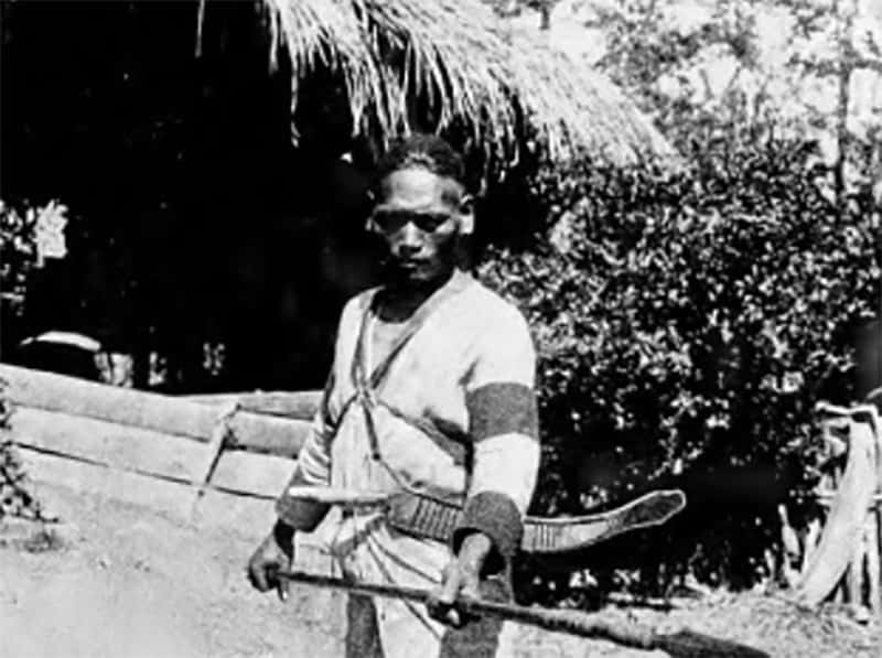 Bizarre Courtship Rituals facts