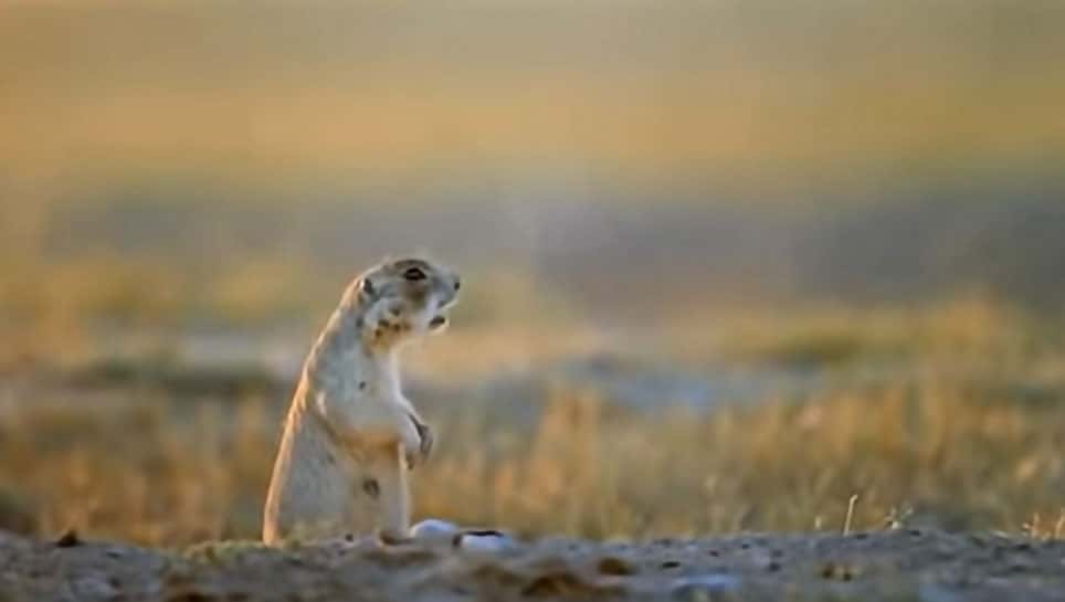 Lewis And Clark Expedition facts