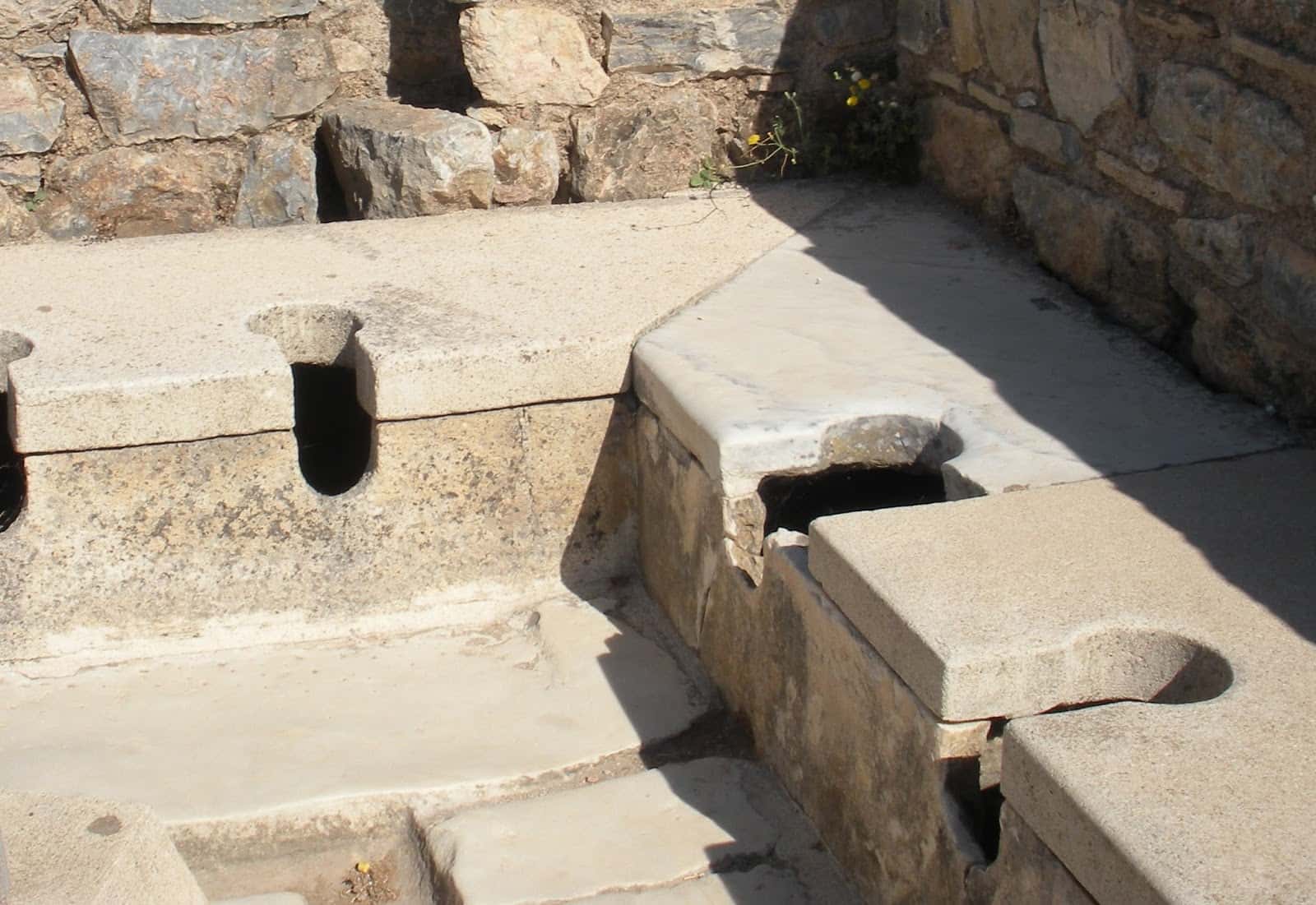 Ancient India Toilet Fact