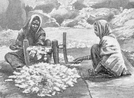 Ancient India Cotton Fact