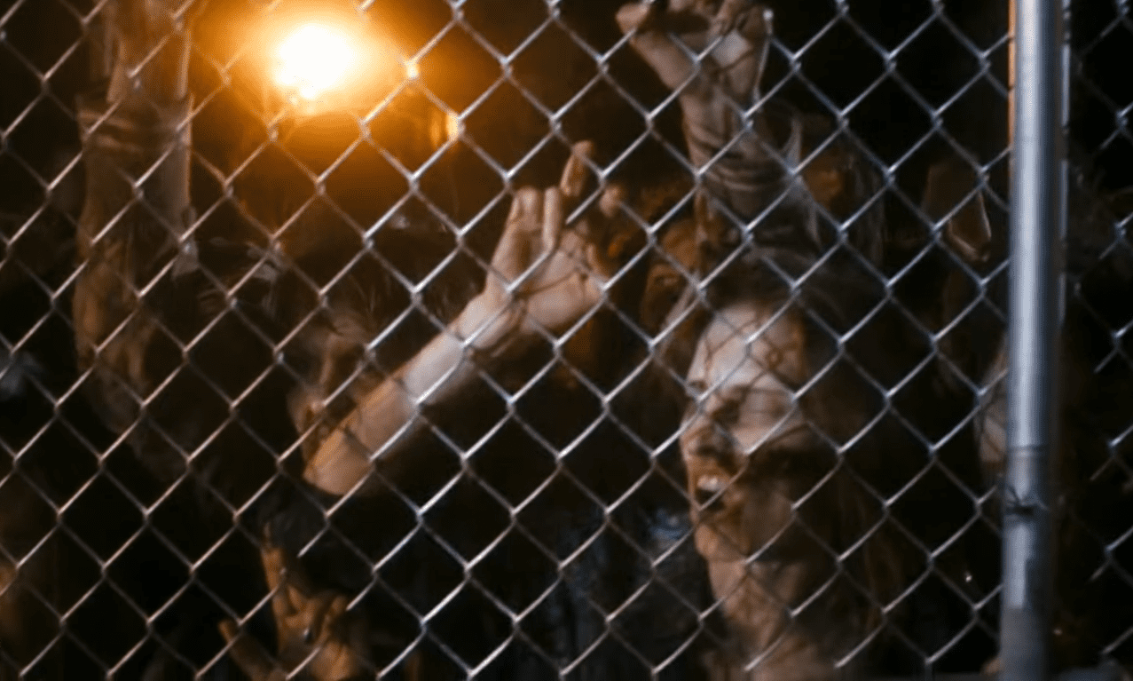 Fear The Walking Dead Facts