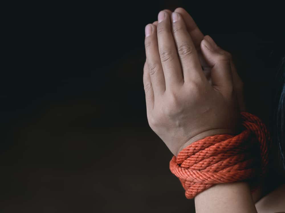 True Crime Survivors Facts