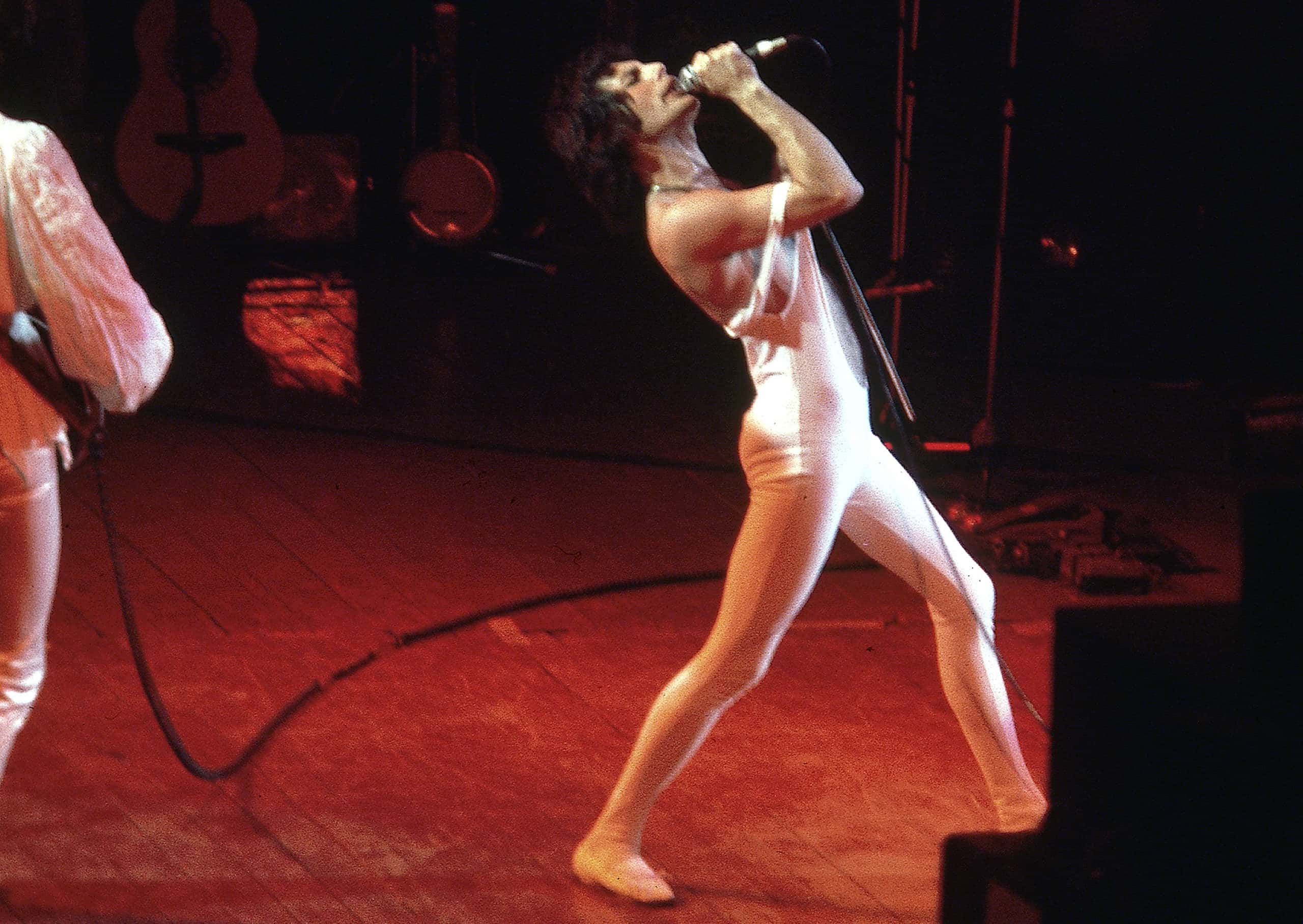 Freddie Mercury facts