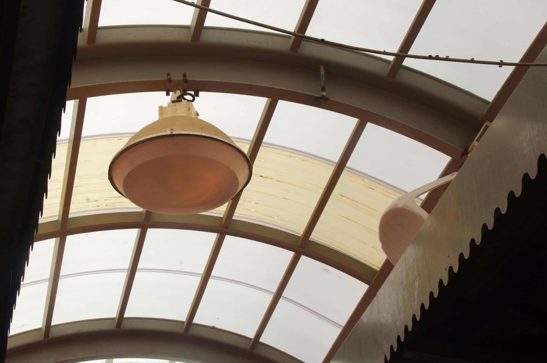 Ernest Hemingway facts