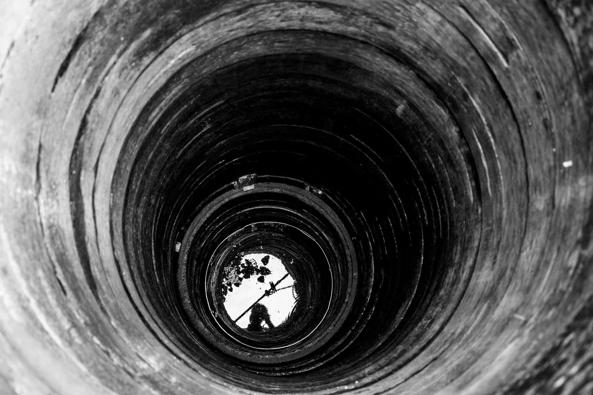 True Crime Survivors Facts