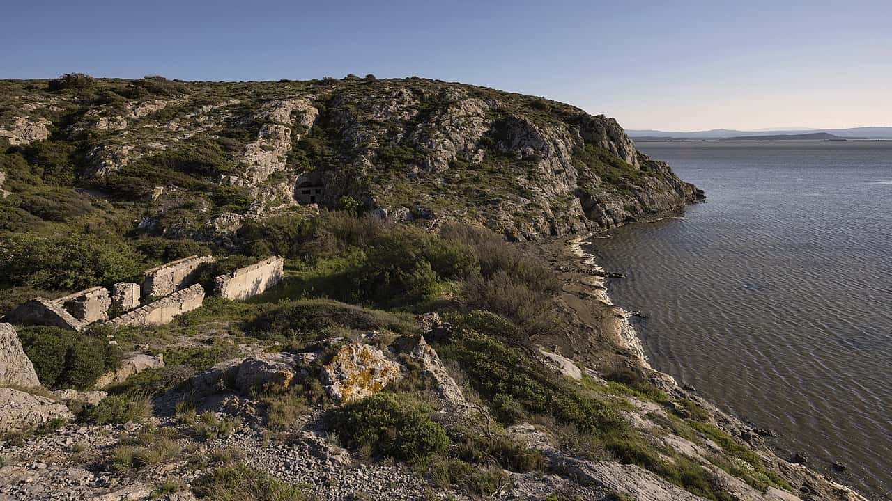 Anthony Bourdain Facts