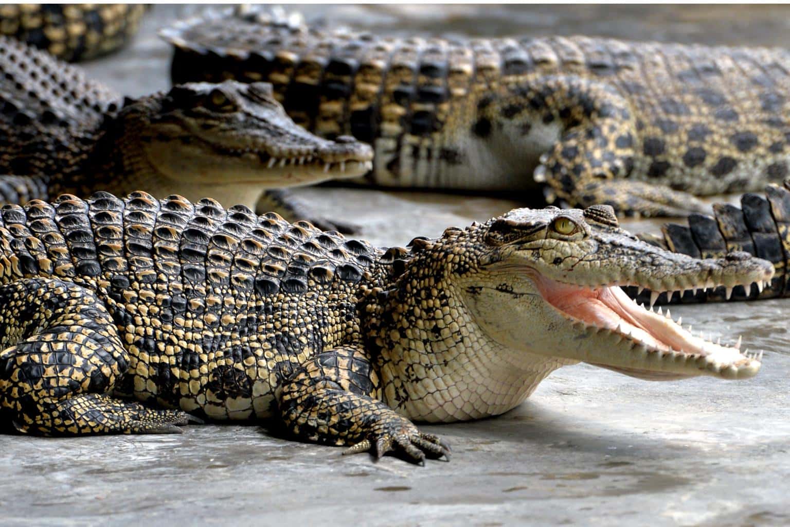 Inspirations for Horror Movies facts