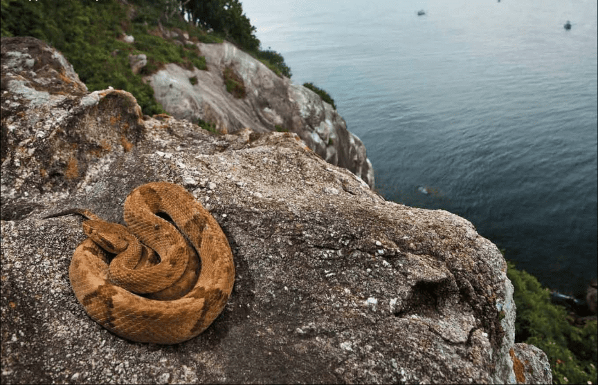 The Spookiest Places On Earth facts