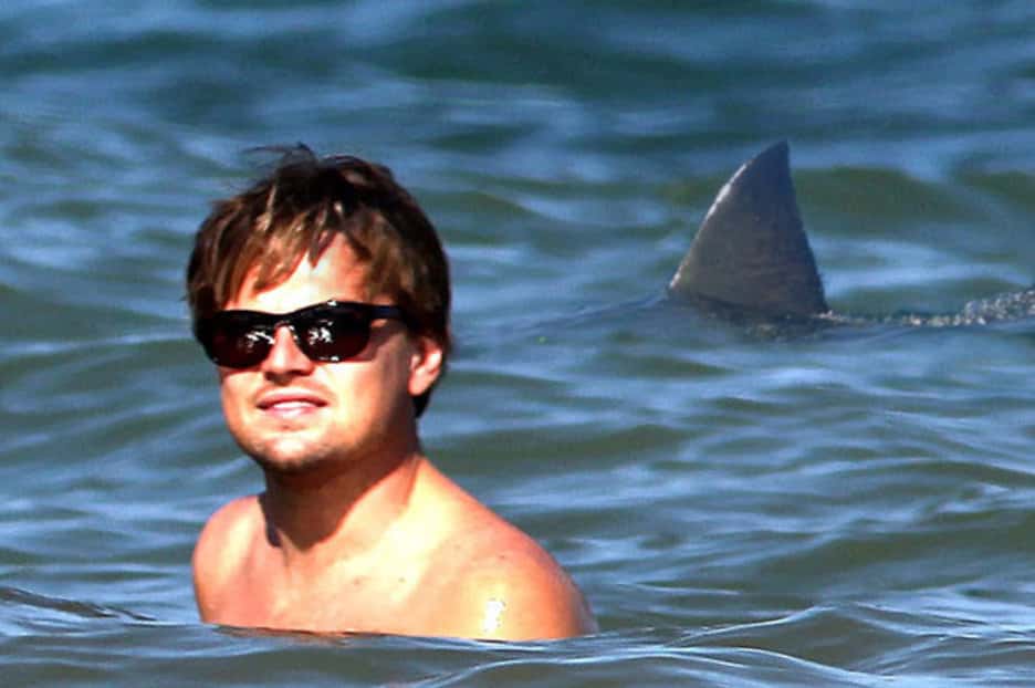 People Lucky to Be Alive facts