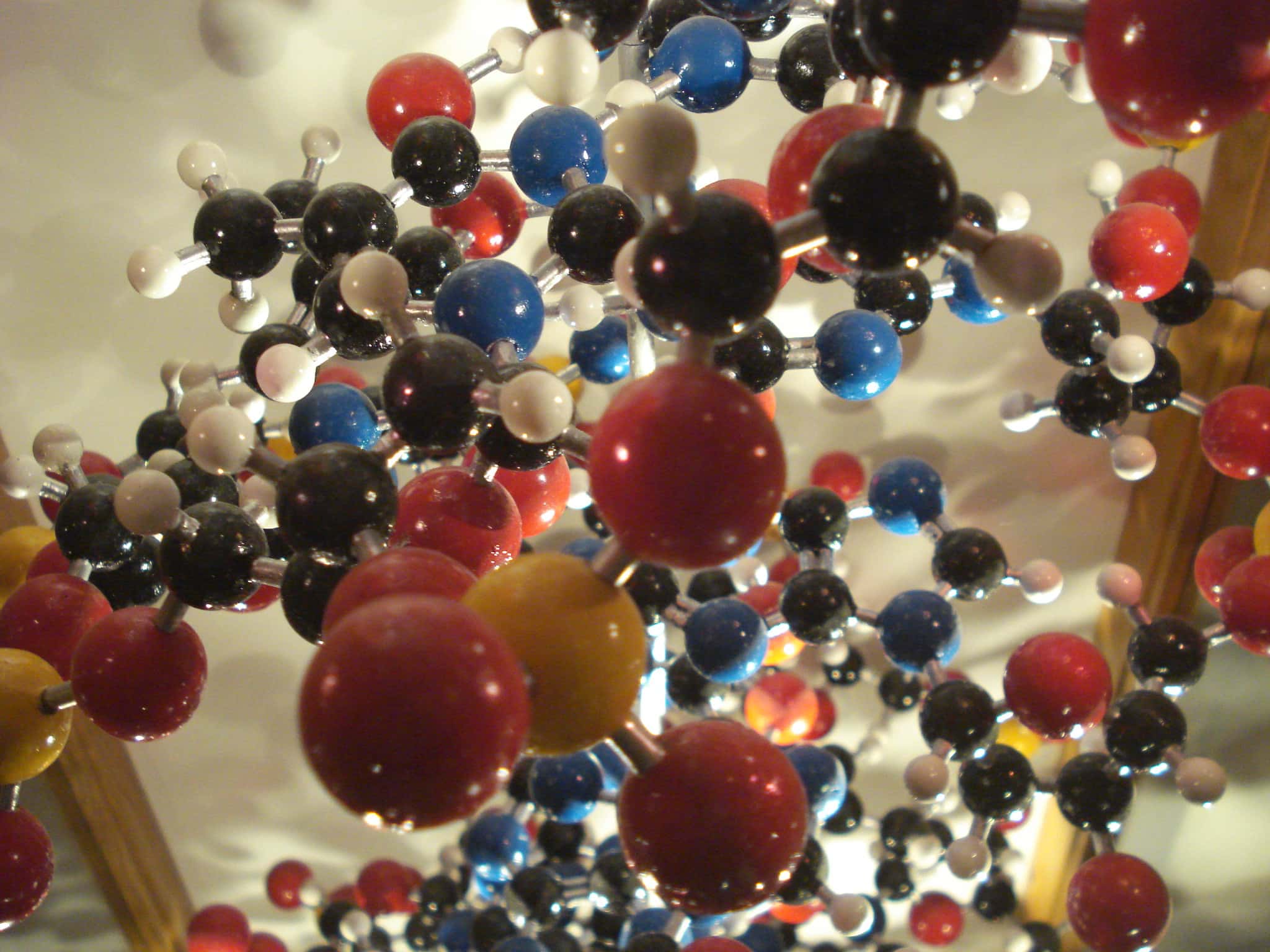 Words Everyone is Pronouncing Wrong Facts