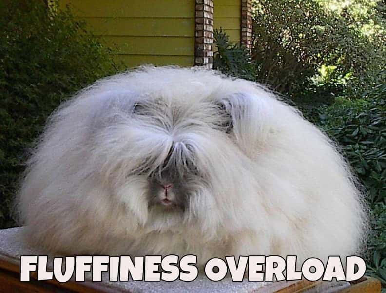 Charles Dickens facts