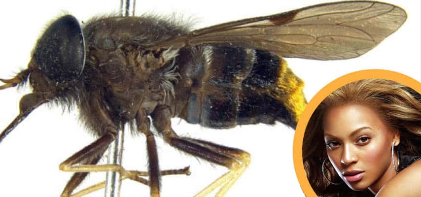 Strange Celebrity Behavior facts