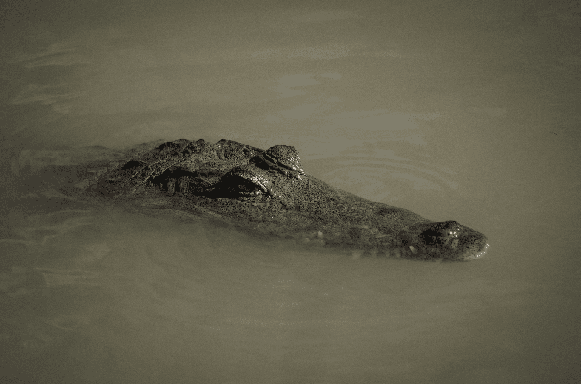 Inspirations for Horror Movies facts