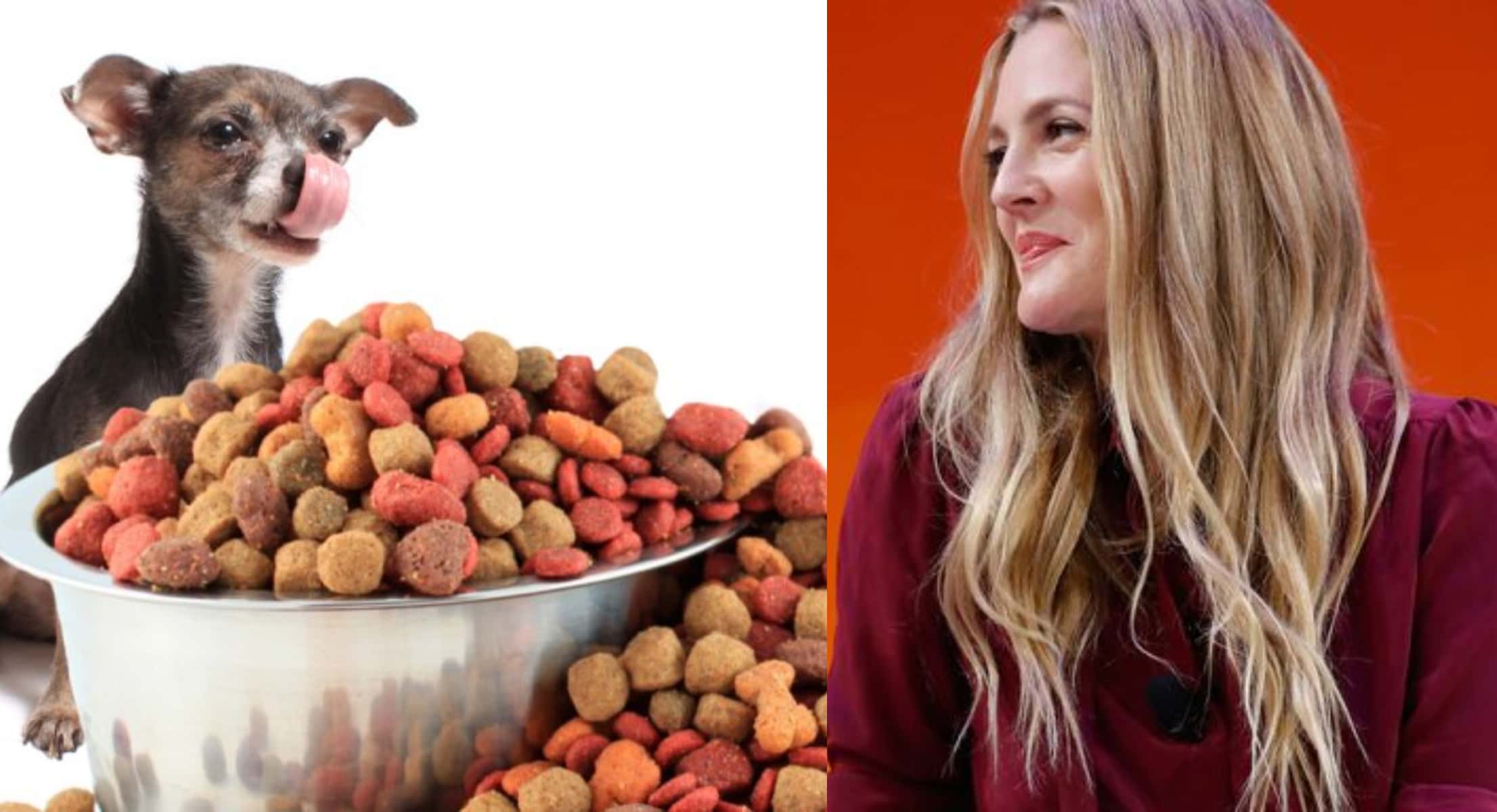 Drew Barrymore facts