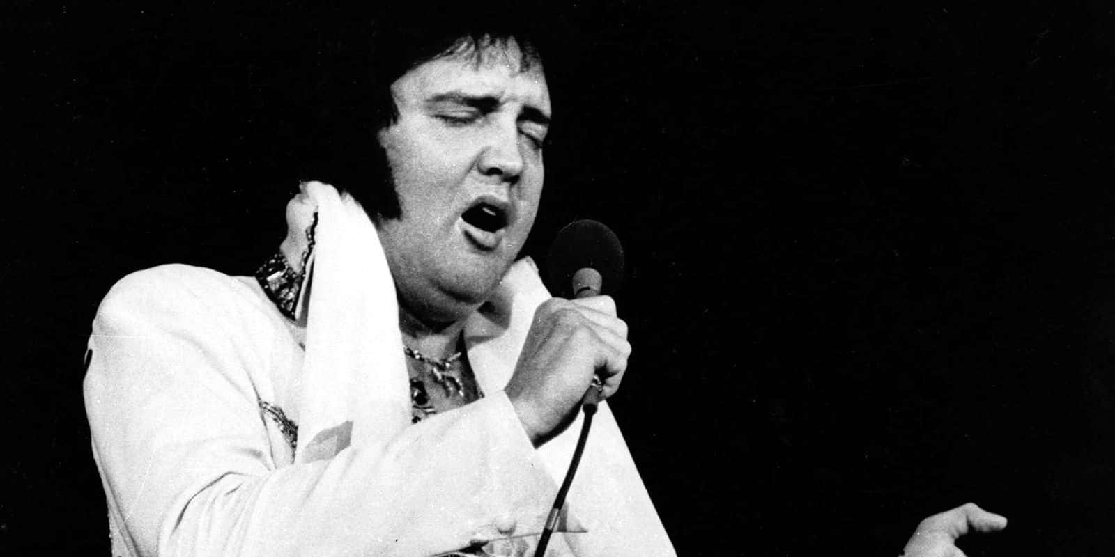 Stars Who Died Too Soon facts