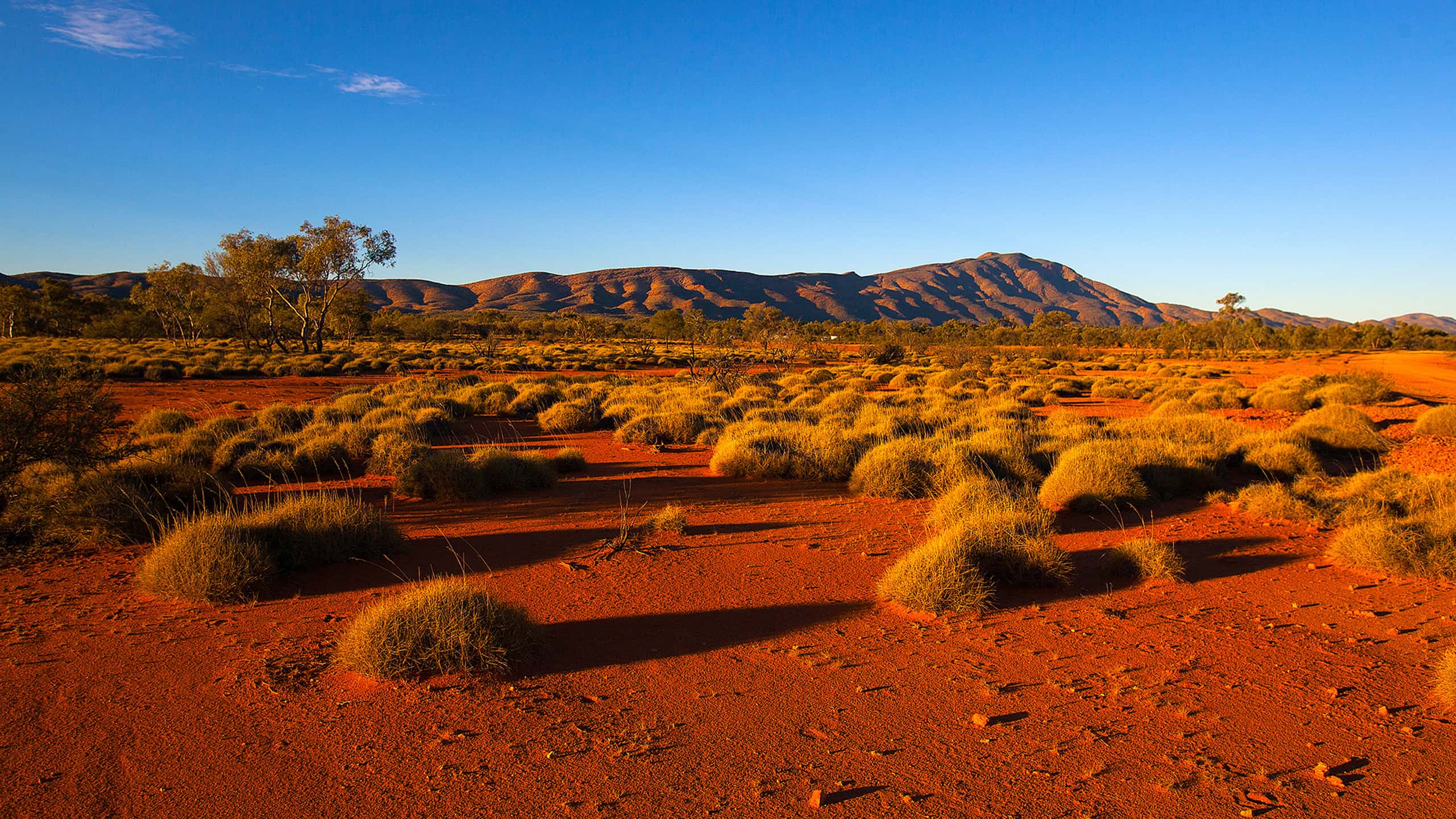 People Lucky to Be Alive facts