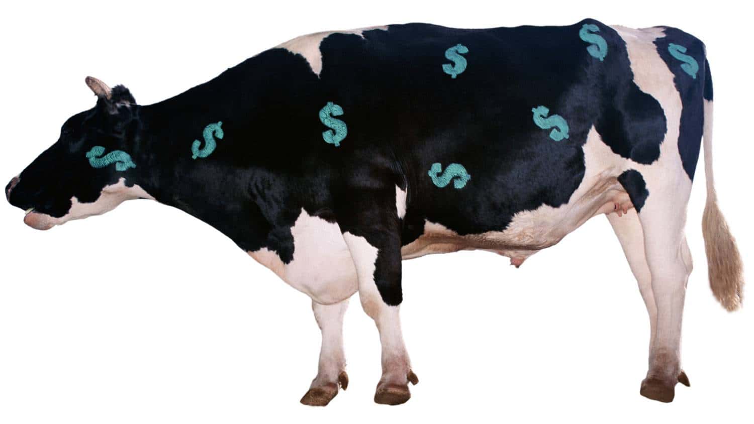 Money And Finance facts