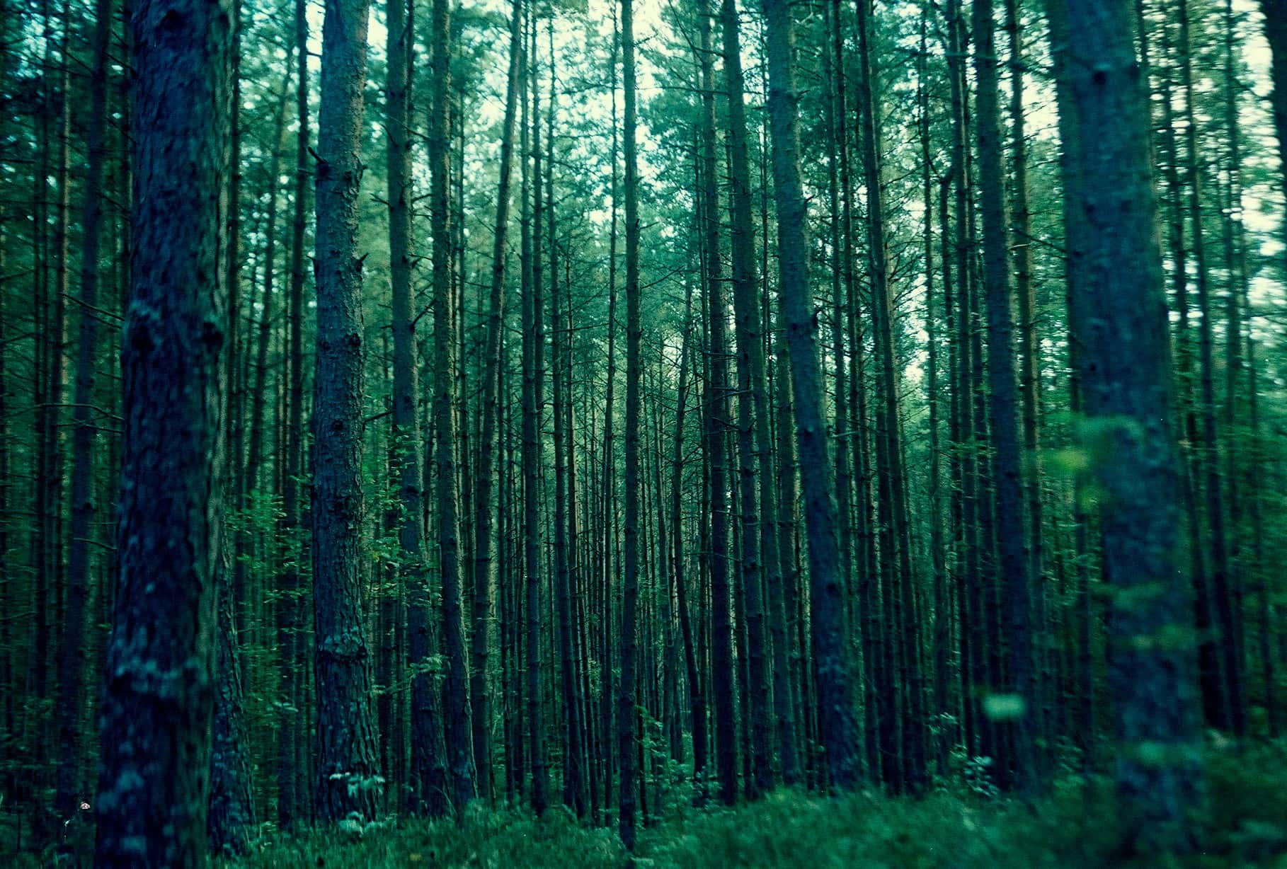 Spookiest Places On Earth facts