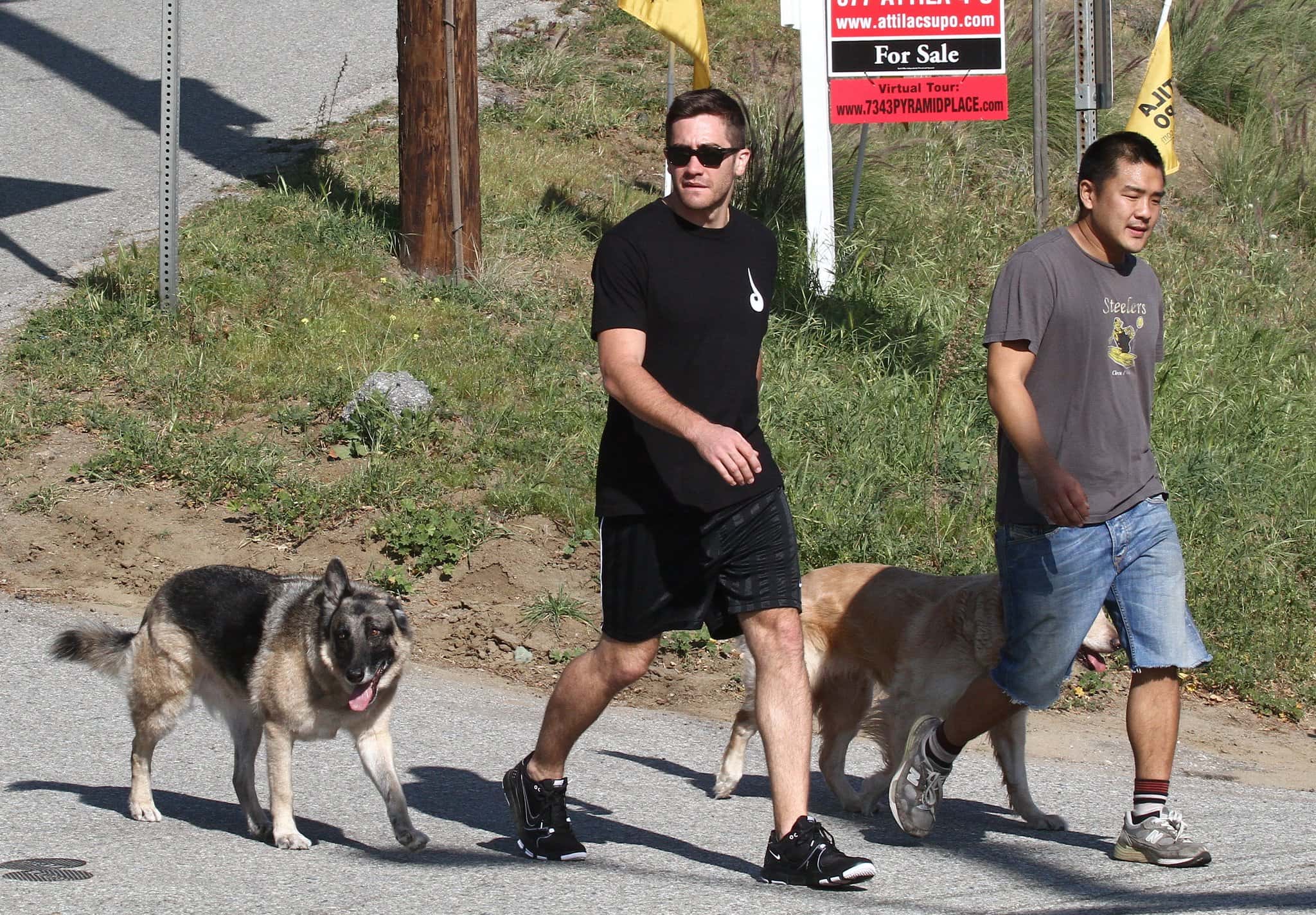 Jake Gyllenhaal facts