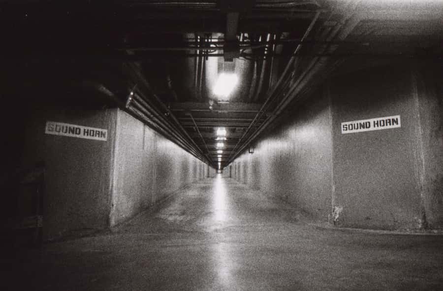 Secret Life Of Cities facts