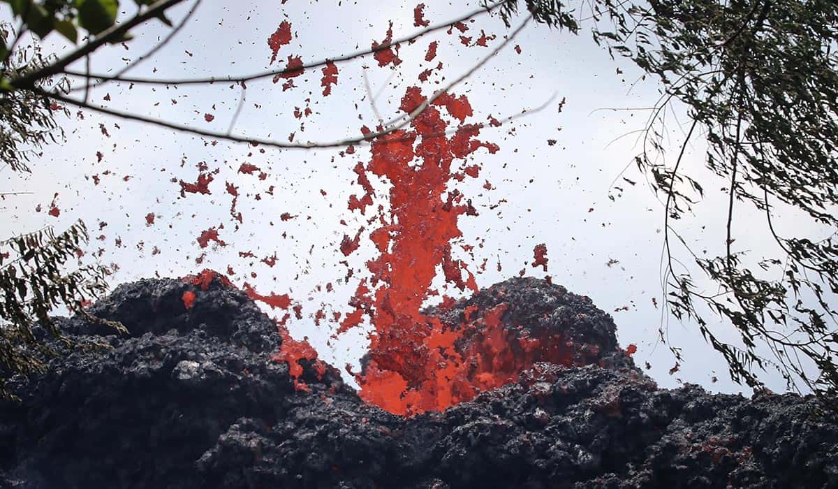 People Lucky to Be Alive facts