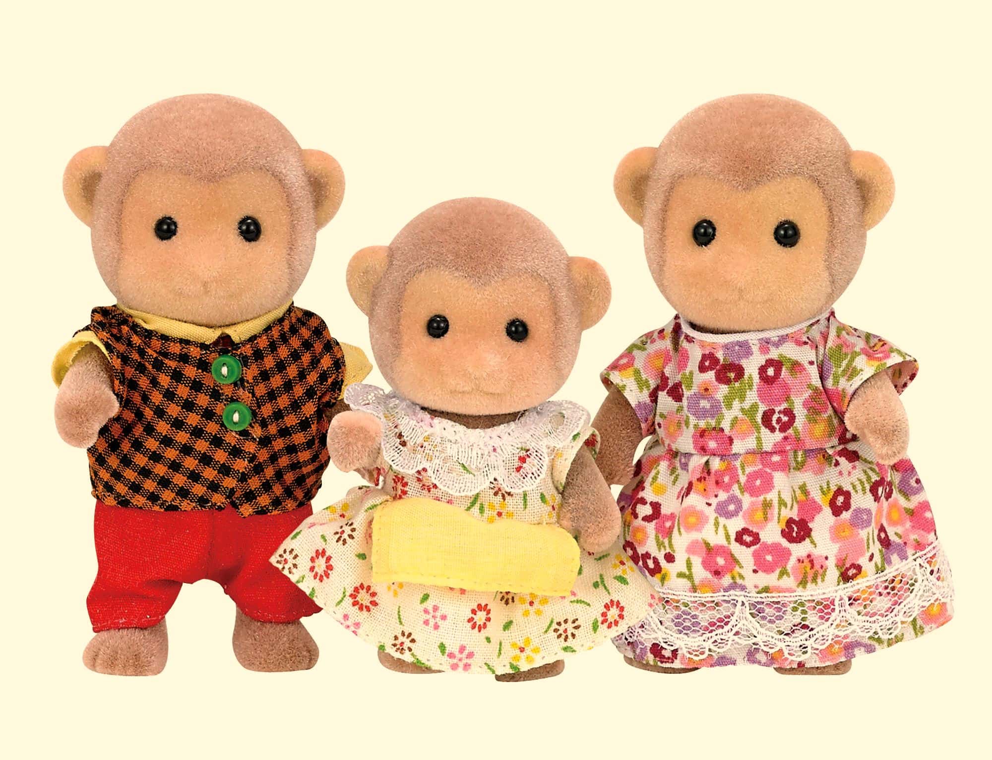 Koko The Gorilla Facts