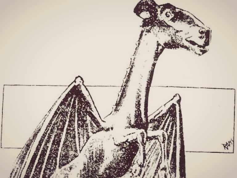 Origins of Monsters facts