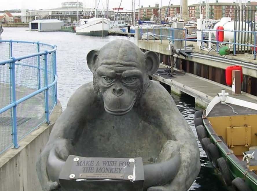 Secret Life Of Cities facts