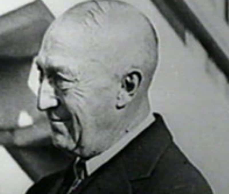 Secret Life Of Cities facts