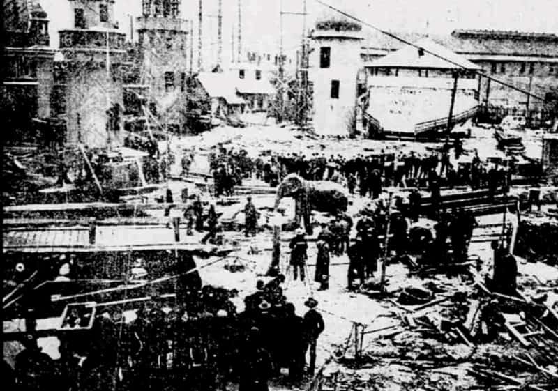 Secret Life Of Cities facts