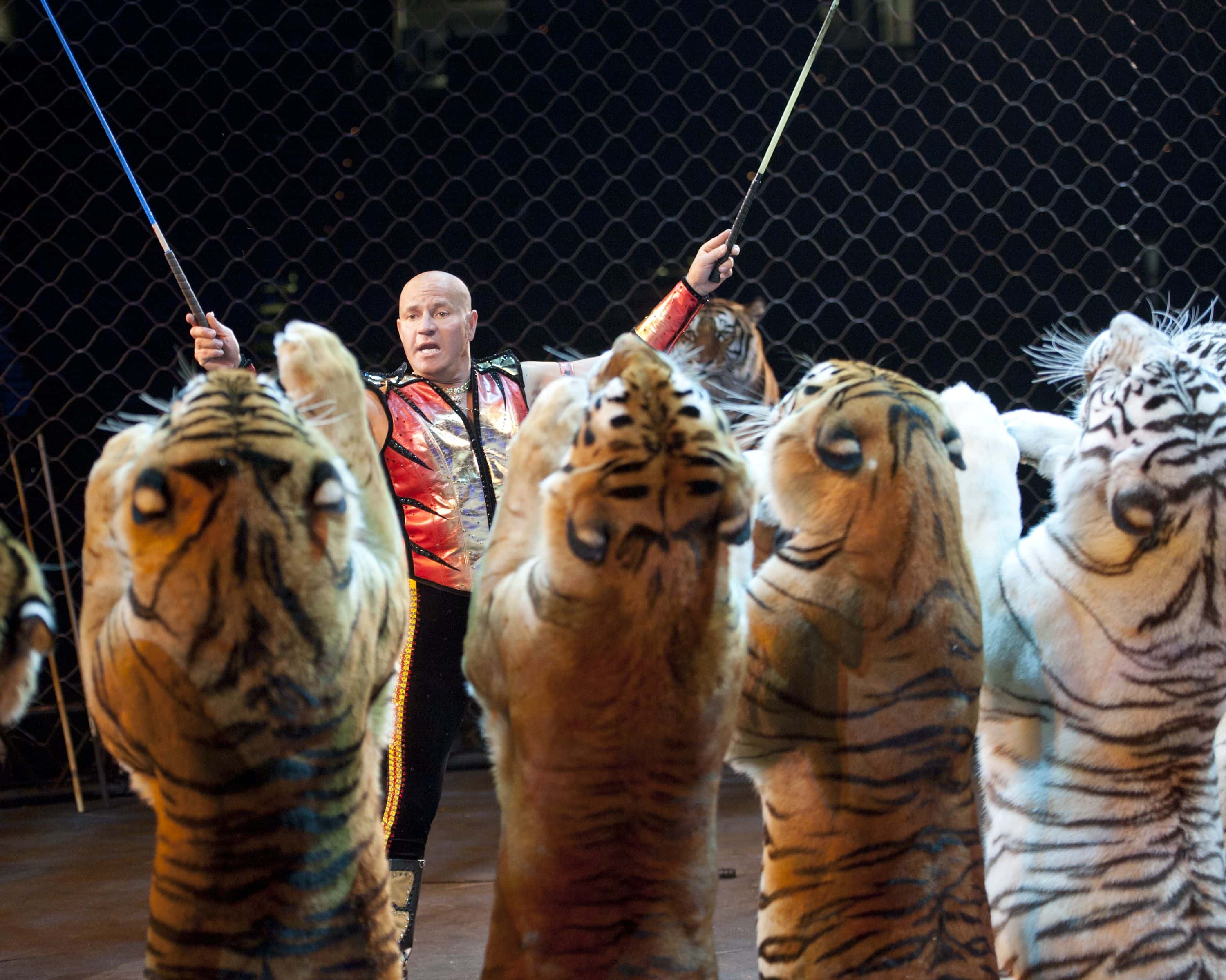 Craziest Circus Performers Facts