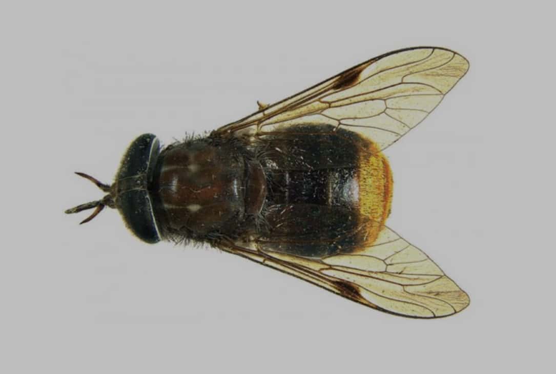 Strange Celebrity Behavior facts