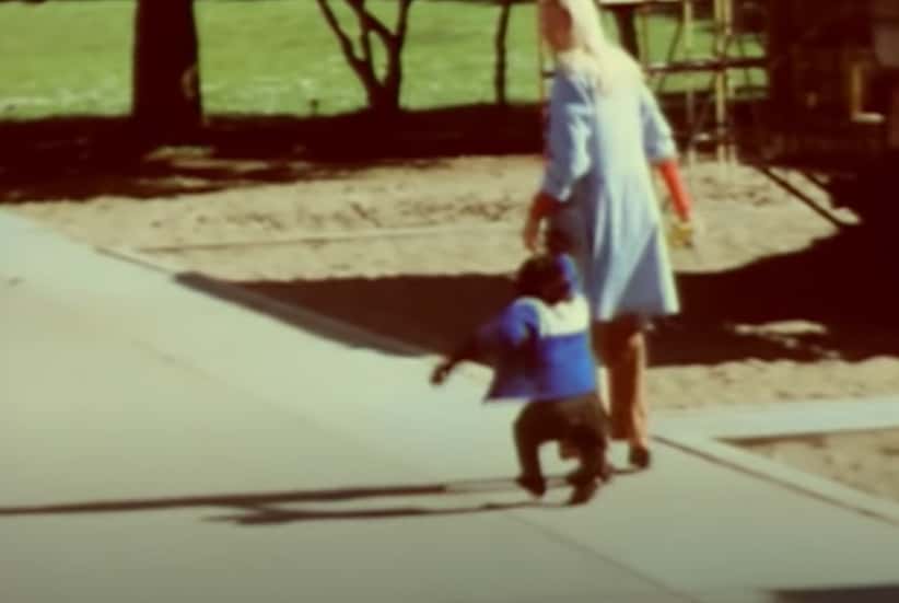 Koko The Gorilla facts