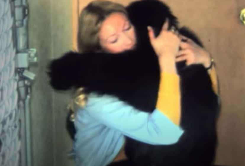 Koko The Gorilla facts