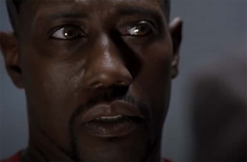 Strange Celebrity Behavior facts