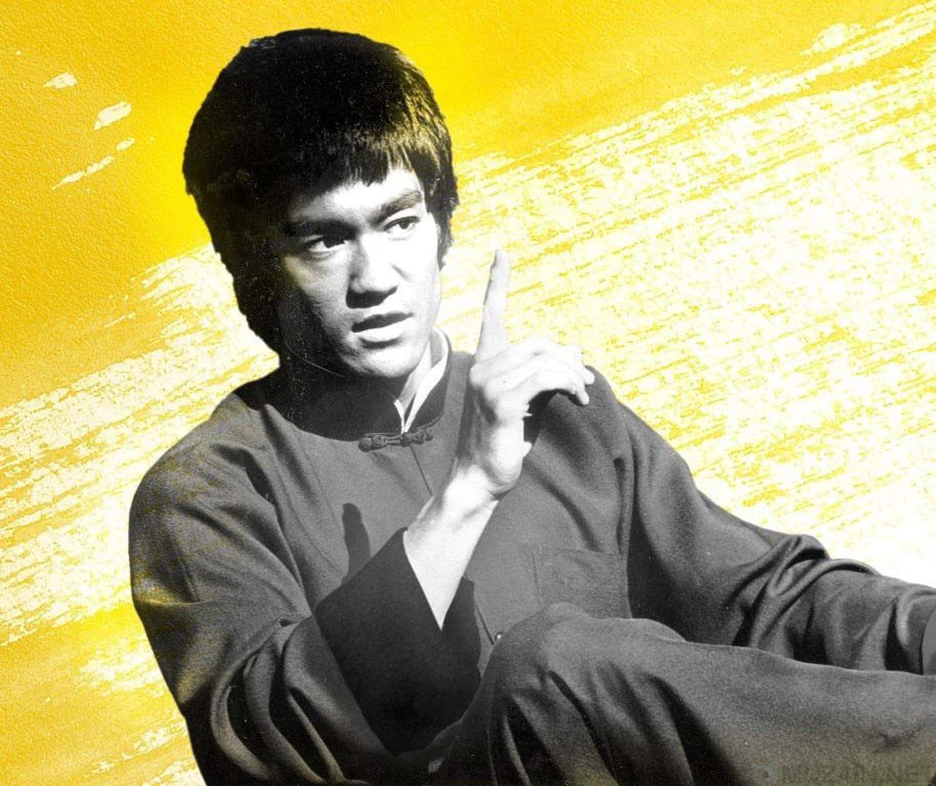 Bruce Lee Facts
