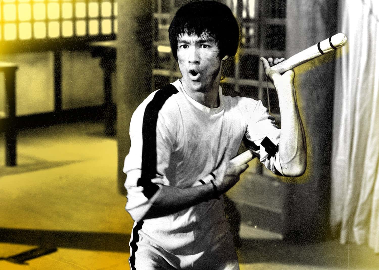 Bruce Lee Facts
