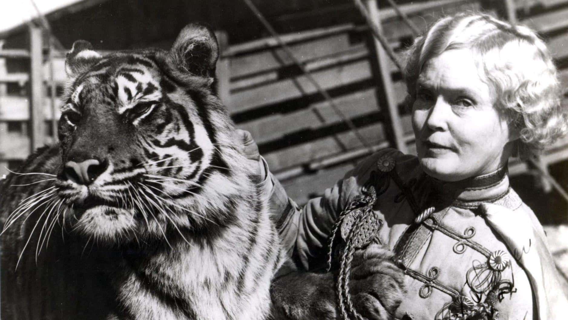 Craziest Circus Performers Facts