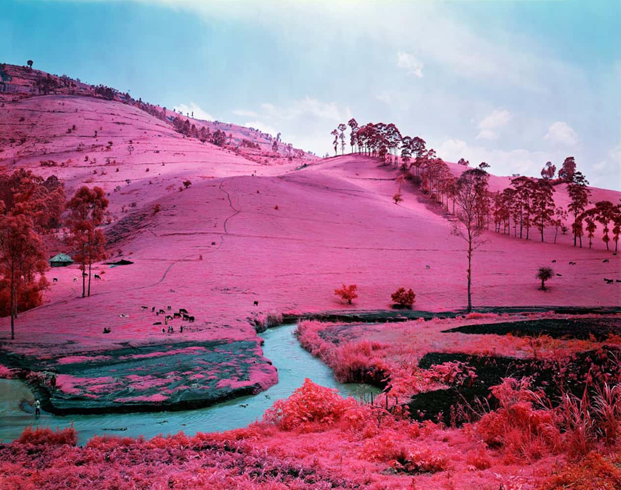 doorofperception.com-richard_mosse-25.jpg