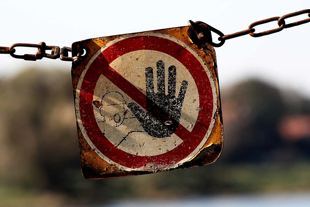 Spies and Espionage In WWII Facts