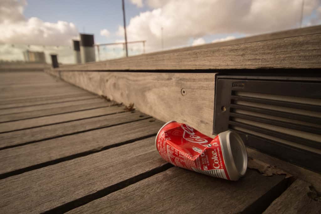 litter-1024x682