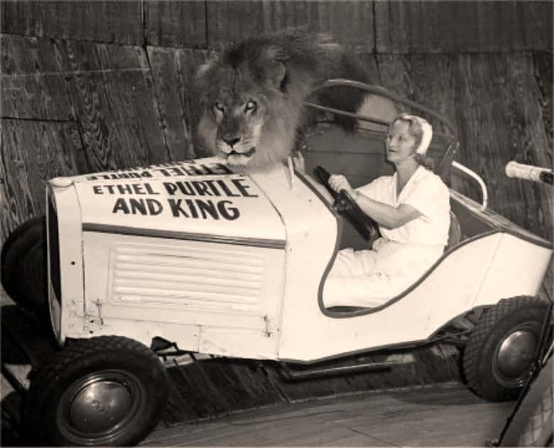 Craziest Circus Performers Facts