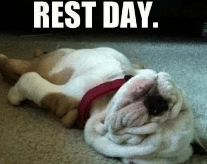 Anthony Bourdain Facts